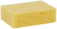 Spons Cleaninq viscose groot-2