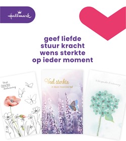 Wenskaart Hallmark Business Box condoleance navulset à 10 stuks